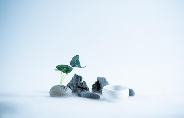 “人生没什么不可放下”，一念花开，一念花落，禅一样的弘一法师-