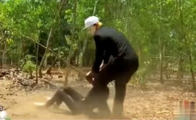 ​十二集的剧，女主被绑了三次，男主和男二也很搭，哈哈