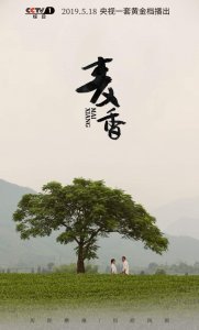 ​坚守荣誉励精图治，励志大戏《麦香》今晚登陆央视一套
