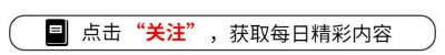 ​两次世界大战，德国损失25.8万平方公里，领土越打越少为何还打？