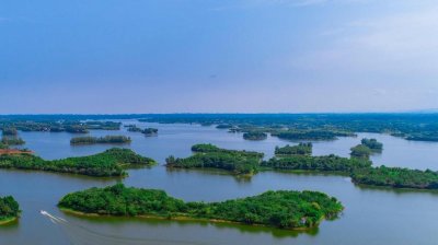 ​成都简阳三岔湖：湖面汊道纵横、密布的岛屿附近聚居的数千只水鸟