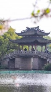 ​人这辈子，一切皆有定数，凡事不可强求