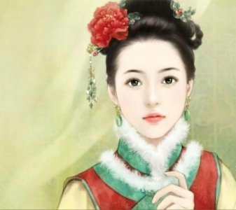 ​五本情节与文笔俱佳的清穿小说：九爷党的看过来