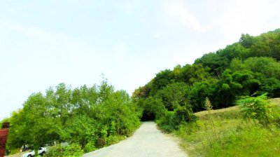 ​五月游武汉，打卡郊区国家级森林公园，废弃寺庙和山顶泳池是亮点