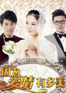 ​因为爱情有多美（剧情介绍）