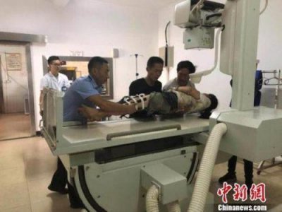​游客遭西双版纳野象攻击怎么回事？游客为什么会遭西双版纳野象攻击