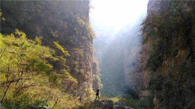 ​它被称为中国的猴山，“后羿射日”故事的发生地，济源五龙口景区