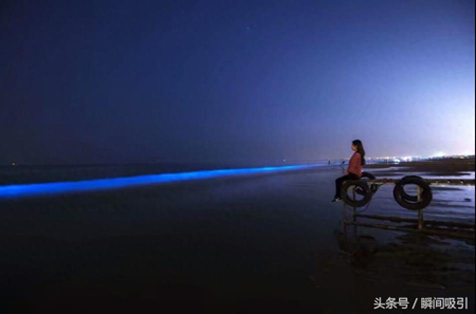 实拍秦皇岛最美荧光海,在人山人海中拍出唯美大片