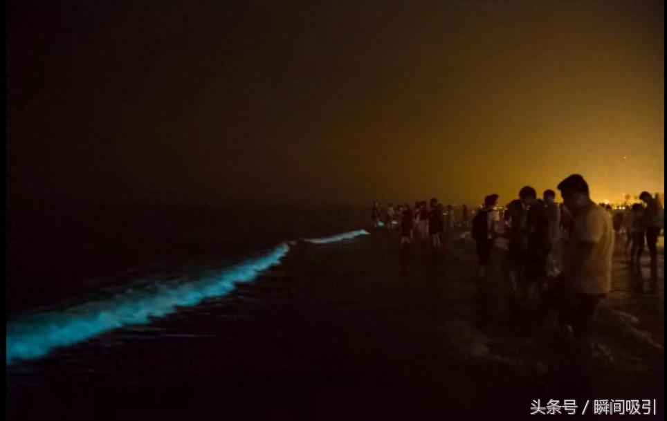 实拍秦皇岛最美荧光海,在人山人海中拍出唯美大片