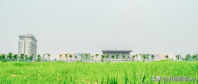 ​南昌大学医学部录取分数线 南昌大学医学专业多少分能上