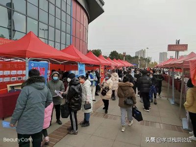 ​孝南打出“保用工促就业”政策组合拳 今年将陆续举办154场线上线下招聘