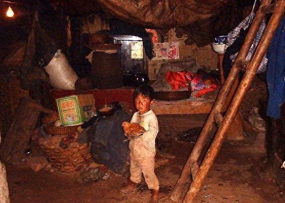 十张感人的照片,看到第五张眼泪情不自禁地流下来