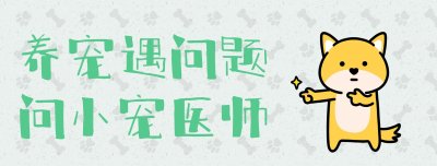 ​“剪刀大法寻猫”真的可靠么？没有科学依据为何还如此灵验.