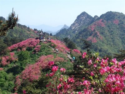 ​1915年巴拿马万国博览会上的湖北名菜—麻城鱼面