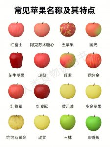 ​最全苹果种类介绍，看你都吃过哪些