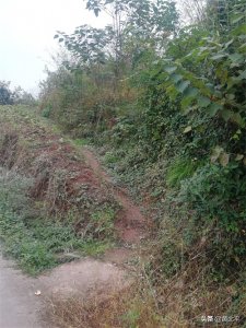 ​重庆市深山里走向没落的唐家大院