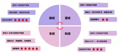 ​同样都是鹅绒被，为什么价格会相差五六千元？