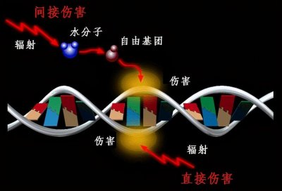 ​福岛核泄漏始末，美国称日本乱排核废水符合标准，两国挣钱不要命