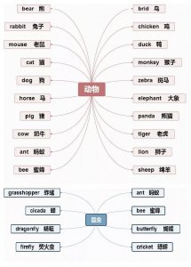 ​小学1-6年级英语思维导图，可下载