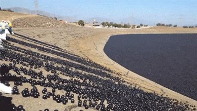 ​加州水库为节水投放的巨量塑料小球 引发了意料之外的长期争议
