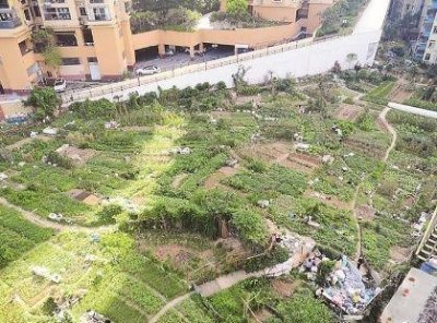 ​南湾街道：谋划精彩蝶变 共赴文明之约