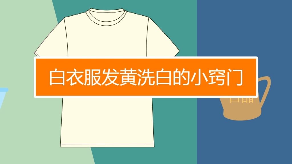 洗白白是什么意思_洗白的意思