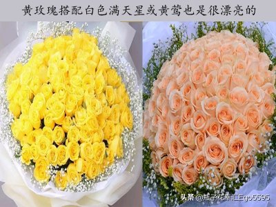 ​黄色玫瑰叫什么品种（金色海岸玫瑰的花语）