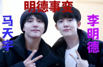 ​杨幂发声站队，赵文卓甄子丹世纪骂战，如今才知道，是他太渣
