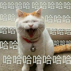 ​笑出声！福建人和东北人成语接龙，奇怪的方言增加了！