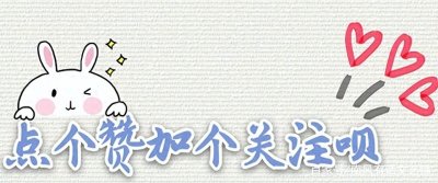 ​未拴绳的狗被车压死 主人扇脸大哭 零度观点：血的教训 追悔莫及?