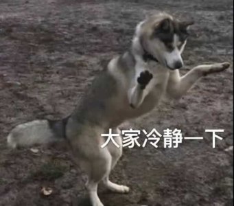 ​离婚手续怎么办？