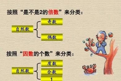 0是奇数还是偶数，0是奇数还是偶数？1是素数还是合数？图3