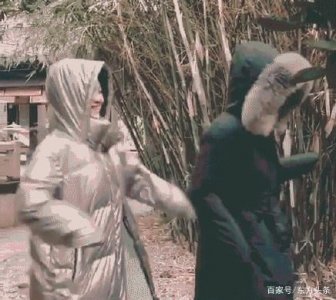​赵丽颖张慧雯斗舞怎么回事？赵丽颖张慧雯斗舞现场图曝光太可爱了