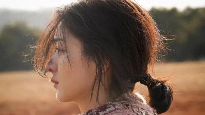 ​赵丽颖主演电影票房破50亿演艺之路的璀璨绽放