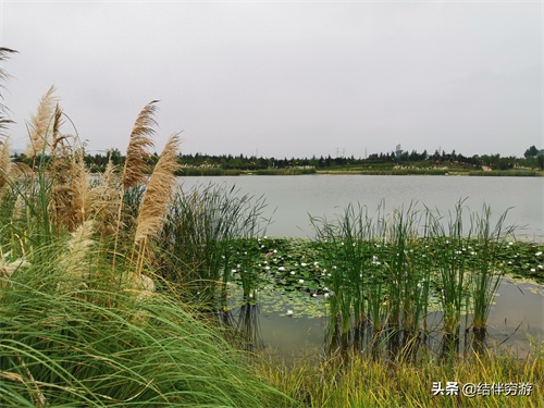 咸阳两寺渡公园有新名字了，你知道吗