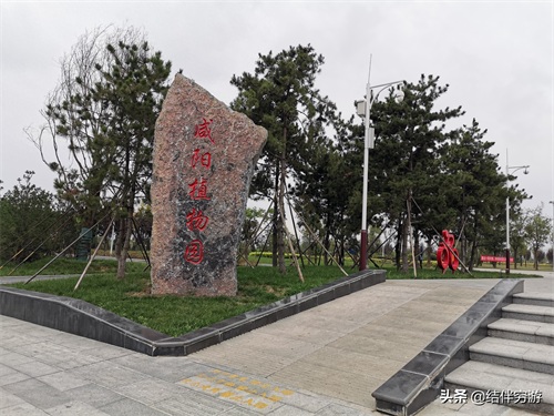 咸阳两寺渡公园有新名字了，你知道吗