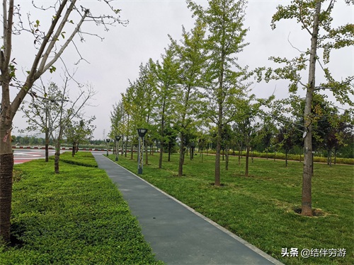咸阳两寺渡公园有新名字了，你知道吗