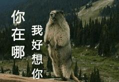 搞笑图片：「逗女孩子开心」表情包