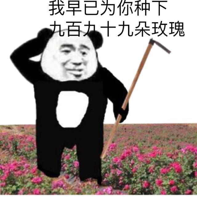 搞笑图片：「逗女孩子开心」表情包