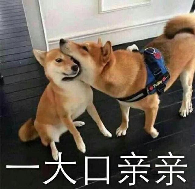 搞笑图片：「逗女孩子开心」表情包