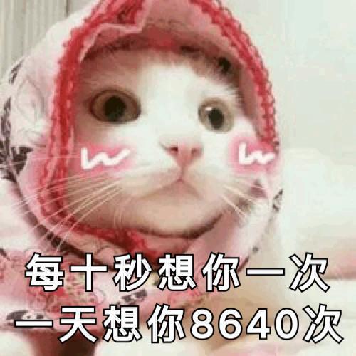 搞笑图片：「逗女孩子开心」表情包