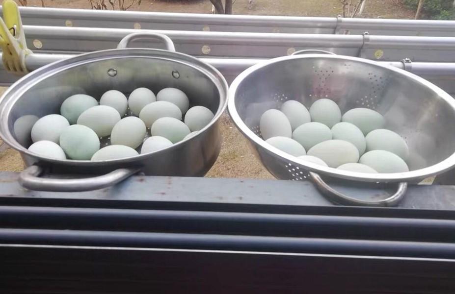 咸鸭蛋怎么做才好吃又简单(咸鸭蛋怎么做才会出油)