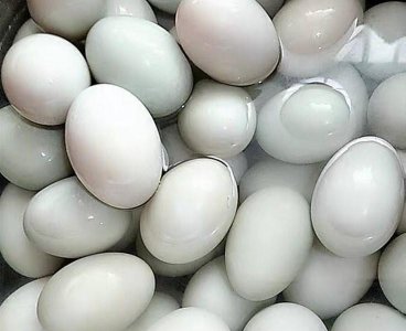 ​咸鸭蛋怎么做才好吃又简单(咸鸭蛋怎么做才会出油)