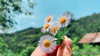 ​如何保持好心情
