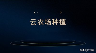 ​云农场种植模式：互联网+农业推动新模式