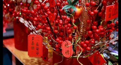 ​东营市东营区：迎新春贺新年 仿真花“热”起来