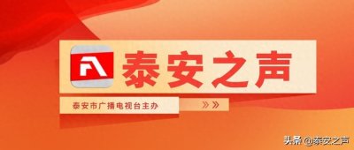 ​岱岳区人社局：就业服务不打烊 线上招聘不停歇