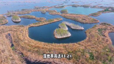 ​白云湖：被誉为山东省第三大湖泊，也是国家级湿地公园