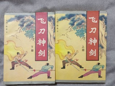 ​陈青云2本酣畅淋漓的武侠小说，不靠脑子靠奇遇，武功绝顶闯江湖