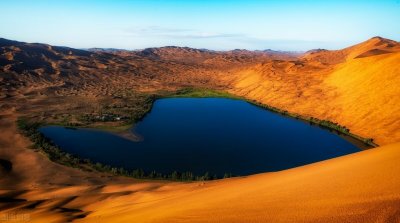 ​几本不容错过的荒野求生类小说，剧情新颖亮点十足，体验不同人生